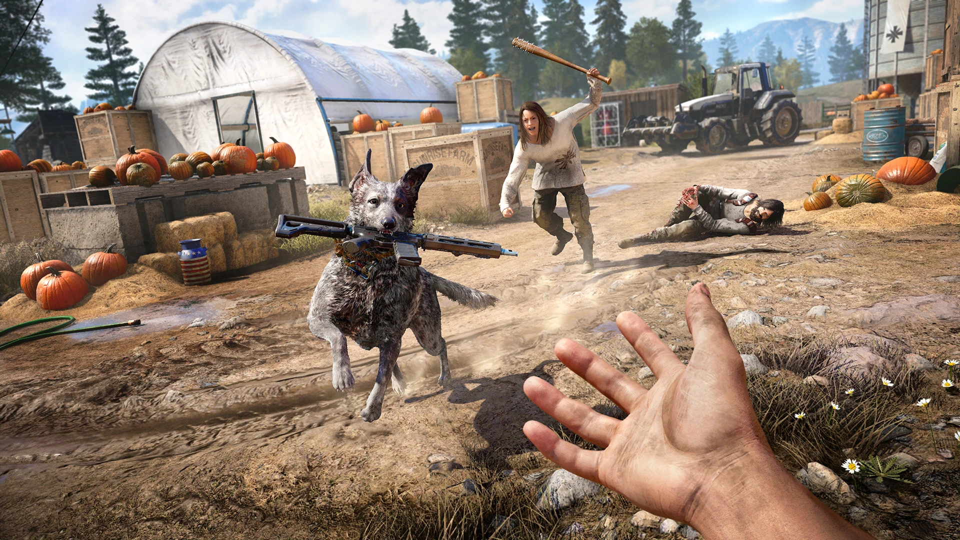 Far Cry 5 screenshot 8